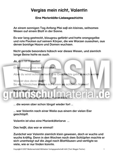 Valentin-nur-Text-1-6.pdf